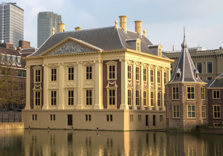 Mauritshuis ‘In Volle Bloei’ 